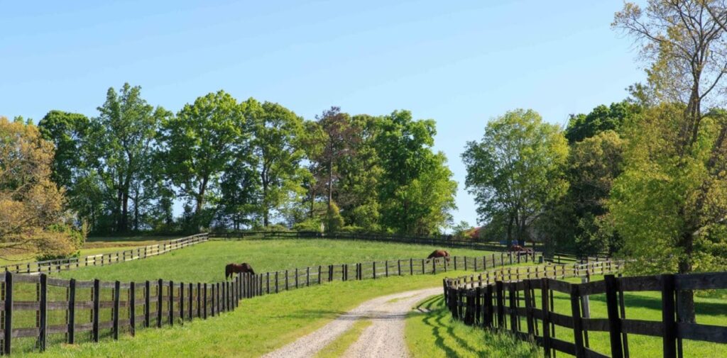 Now Servicing South Carolina PPM Solar