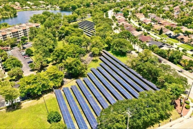Ground-mount commercial solar array among trees in Florida